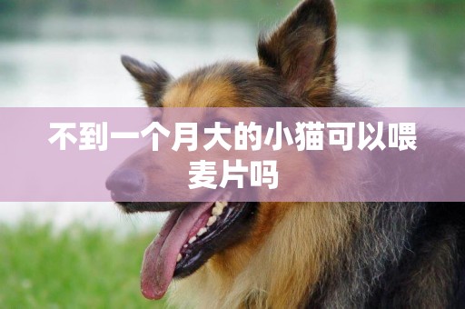 不到一個月大的小貓可以喂麥片嗎