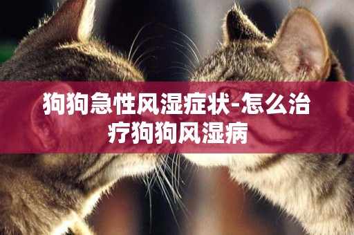 狗狗急性風濕癥狀-怎么治療狗狗風濕病