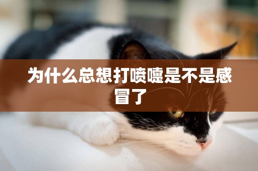 為什么總想打噴嚏是不是感冒了