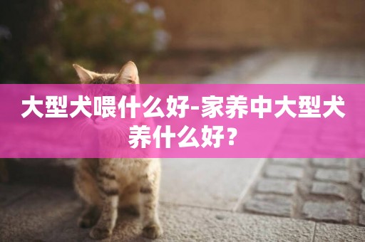 大型犬喂什么好-家養中大型犬養什么好？