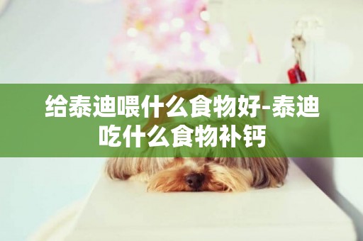 給泰迪喂什么食物好-泰迪吃什么食物補鈣