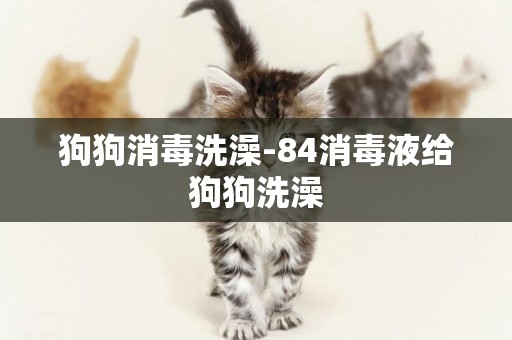 狗狗消毒洗澡-84消毒液給狗狗洗澡