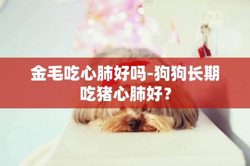 金毛吃心肺好嗎-狗狗長期吃豬心肺好？