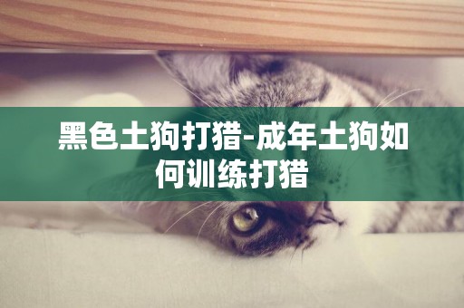 黑色土狗打獵-成年土狗如何訓練打獵