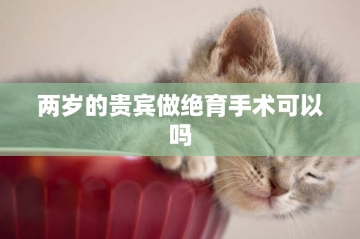 兩歲的貴賓做絕育手術可以嗎