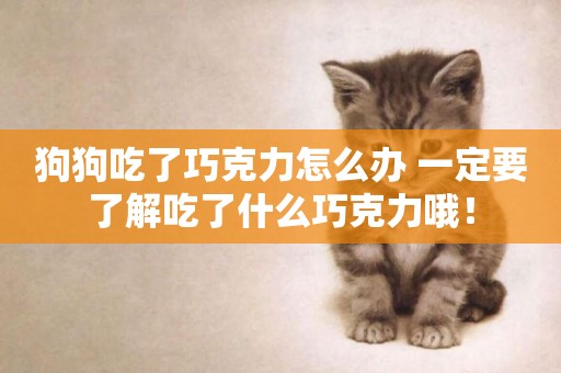狗狗吃了巧克力怎么辦 一定要了解吃了什么巧克力哦！