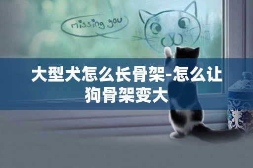 大型犬怎么長骨架-怎么讓狗骨架變大