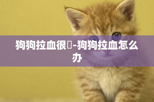 狗狗拉血很廲-狗狗拉血怎么辦