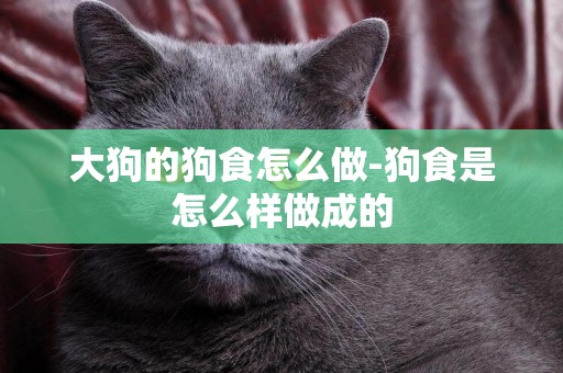 大狗的狗食怎么做-狗食是怎么樣做成的