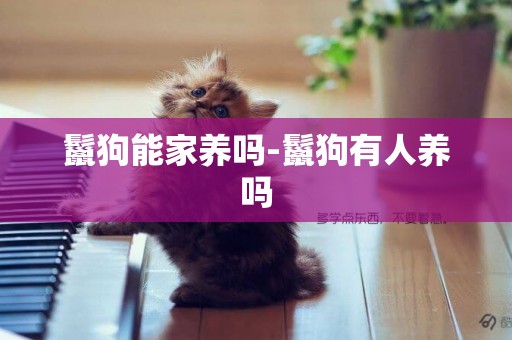 鬣狗能家養嗎-鬣狗有人養嗎