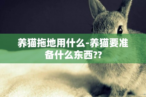 養貓拖地用什么-養貓要準備什么東西??