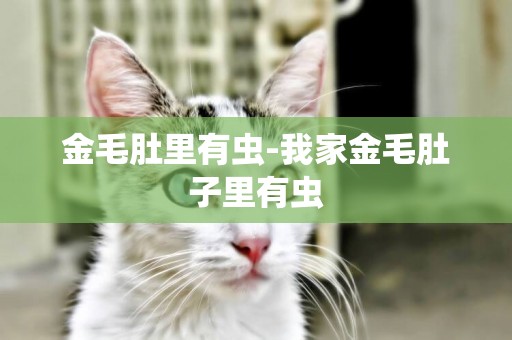 金毛肚里有蟲-我家金毛肚子里有蟲