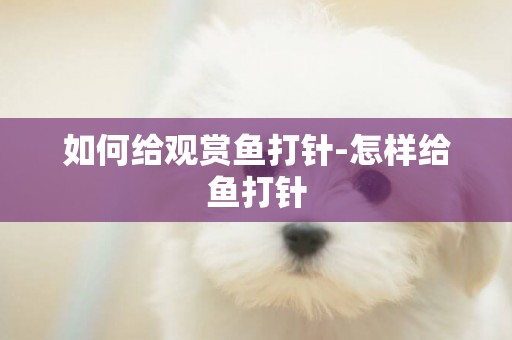 如何給觀賞魚打針-怎樣給魚打針