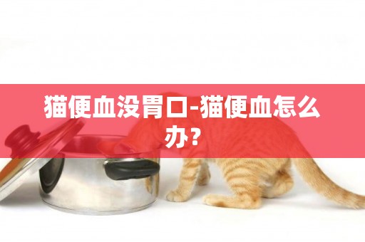 貓便血沒胃口-貓便血怎么辦？