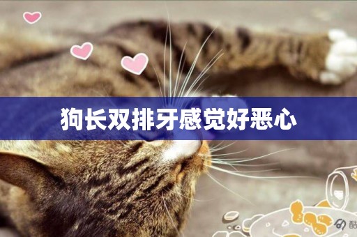 狗長雙排牙感覺好惡心
