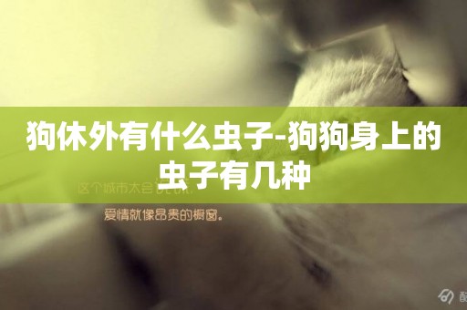 狗休外有什么蟲子-狗狗身上的蟲子有幾種