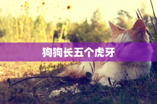 狗狗長五個虎牙