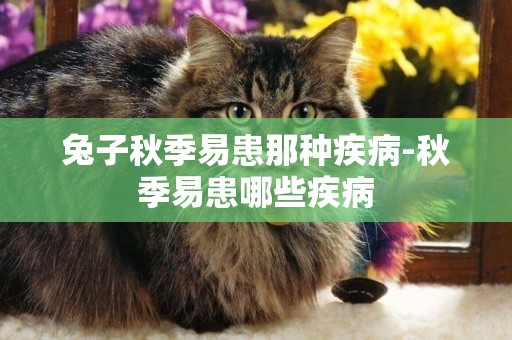 兔子秋季易患那種疾病-秋季易患哪些疾病