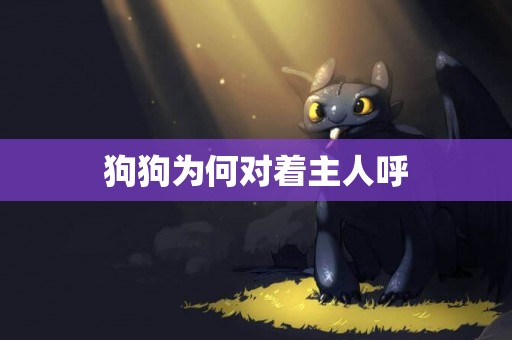 狗狗為何對著主人呼