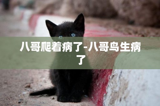 八哥爬著病了-八哥鳥生病了