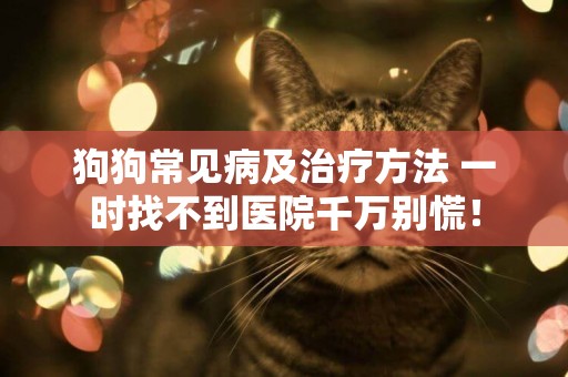 狗狗常見病及治療方法 一時找不到醫院千萬別慌！
