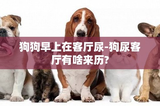狗狗早上在客廳尿-狗尿客廳有啥來歷?