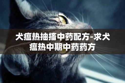 犬瘟熱抽搐中藥配方-求犬瘟熱中期中藥藥方