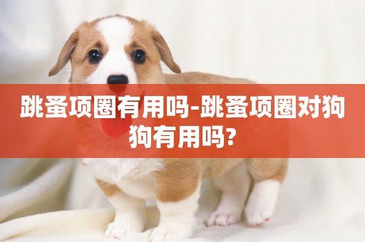 跳蚤項圈有用嗎-跳蚤項圈對狗狗有用嗎?