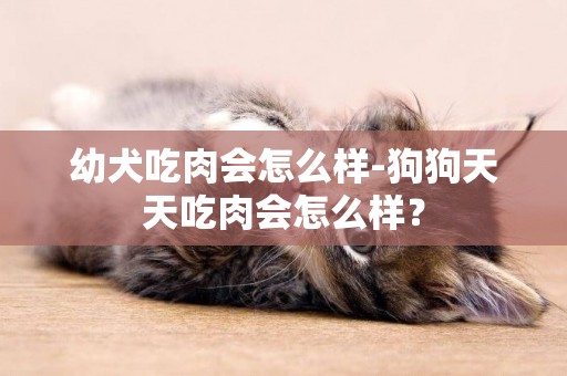 幼犬吃肉會怎么樣-狗狗天天吃肉會怎么樣？