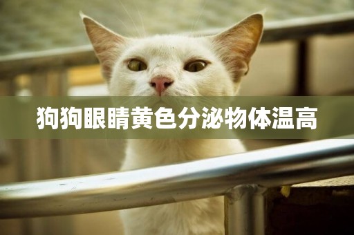 狗狗眼睛黃色分泌物體溫高