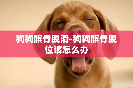 狗狗髕骨脫滑-狗狗髕骨脫位該怎么辦