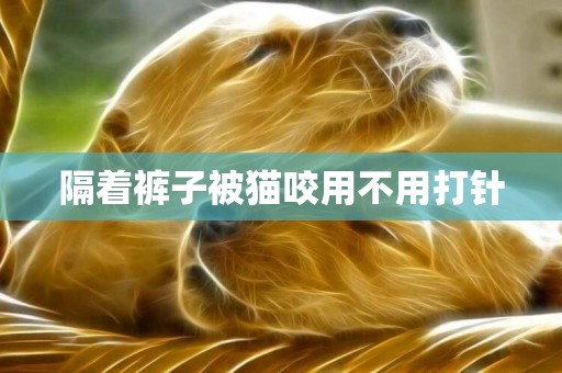 隔著褲子被貓咬用不用打針