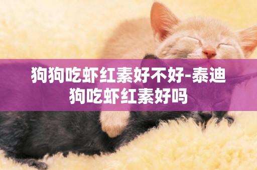 狗狗吃蝦紅素好不好-泰迪狗吃蝦紅素好嗎