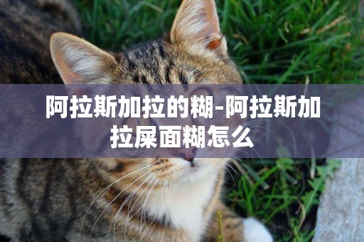 阿拉斯加拉的糊-阿拉斯加拉屎面糊怎么