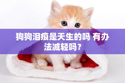 狗狗淚痕是天生的嗎 有辦法減輕嗎？