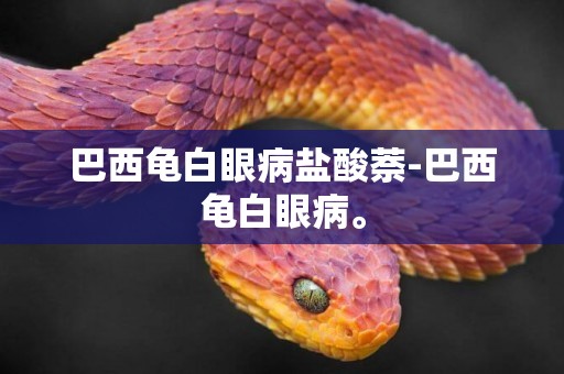 巴西龜白眼病鹽酸萘-巴西龜白眼病。