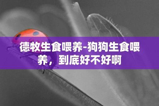 德牧生食喂養-狗狗生食喂養，到底好不好啊