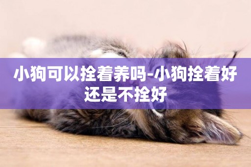 小狗可以拴著養嗎-小狗拴著好還是不拴好