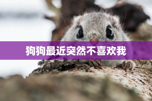 狗狗最近突然不喜歡我