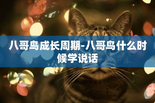八哥鳥成長周期-八哥鳥什么時候學說話