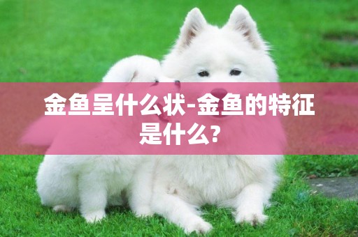 金魚呈什么狀-金魚的特征是什么?