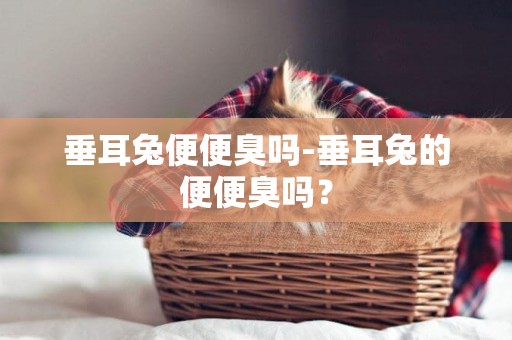 垂耳兔便便臭嗎-垂耳兔的便便臭嗎？