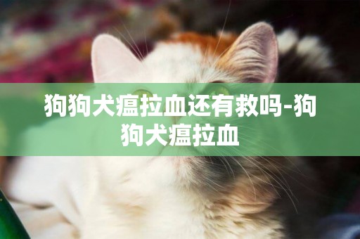 狗狗犬瘟拉血還有救嗎-狗狗犬瘟拉血