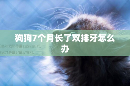 狗狗7個月長了雙排牙怎么辦