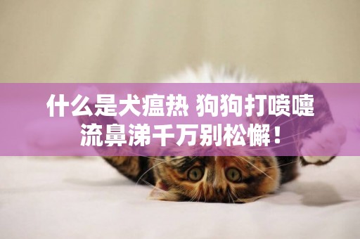 什么是犬瘟熱 狗狗打噴嚏流鼻涕千萬別松懈！