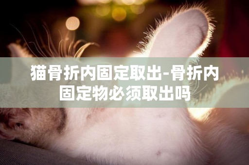 貓骨折內固定取出-骨折內固定物必須取出嗎