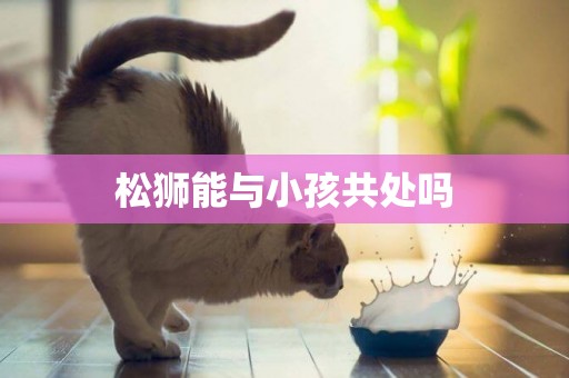 松獅能與小孩共處嗎