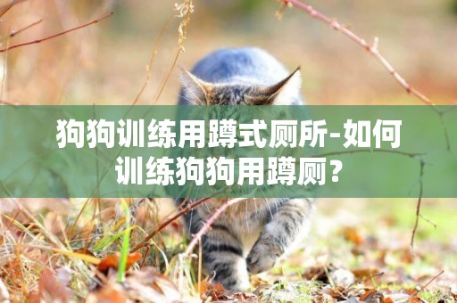 狗狗訓練用蹲式廁所-如何訓練狗狗用蹲廁？