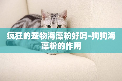 瘋狂的寵物海藻粉好嗎-狗狗海藻粉的作用