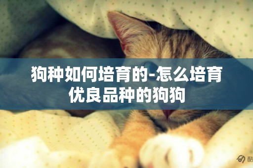 狗種如何培育的-怎么培育優良品種的狗狗
